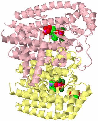 Image Biological Unit 2