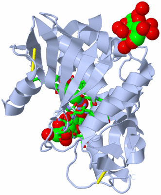 Image Biol. Unit 1 - sites