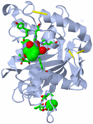 Image Biol. Unit 1 - sites