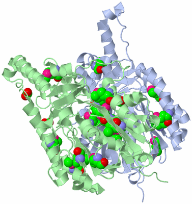 Image Asym./Biol. Unit