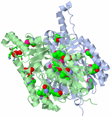 Image Asym./Biol. Unit - sites