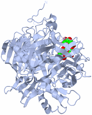 Image Biological Unit 1