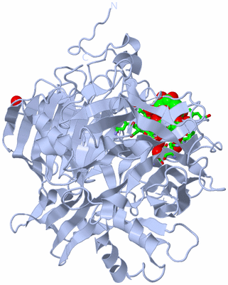 Image Biol. Unit 1 - sites