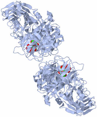 Image Biological Unit 2