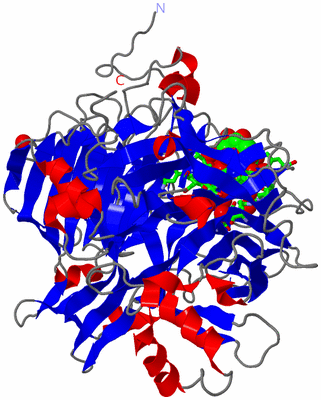 Image Asym. Unit - sites