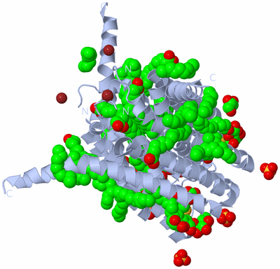 Image Biological Unit 2