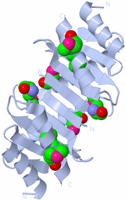 Image Biological Unit 2