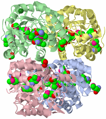 Image Asym./Biol. Unit