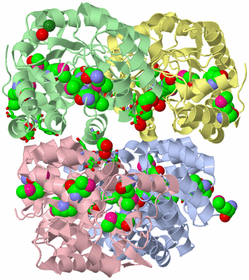 Image Asym./Biol. Unit - sites