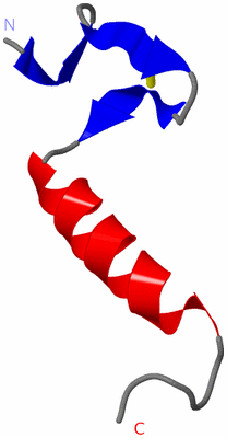 Image NMR Structure - model 1