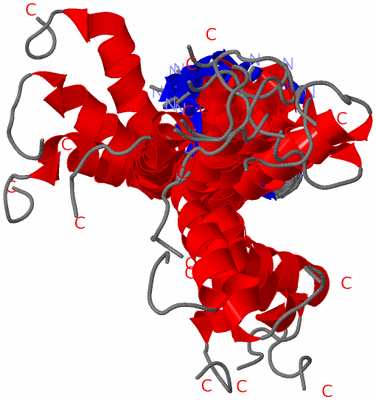 Image NMR Structure - all models