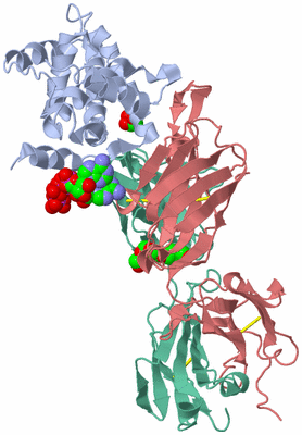 Image Biological Unit 1