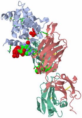 Image Biol. Unit 1 - sites