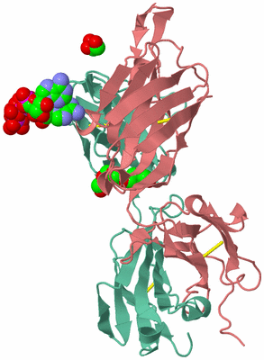 Image Biological Unit 3