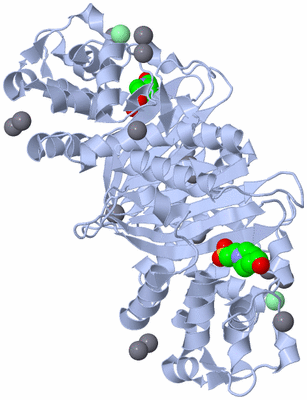 Image Biological Unit 2