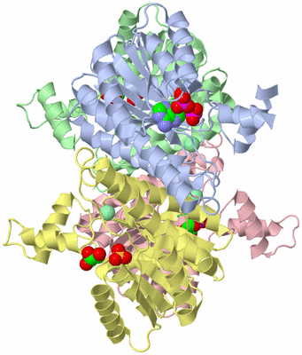 Image Asym./Biol. Unit