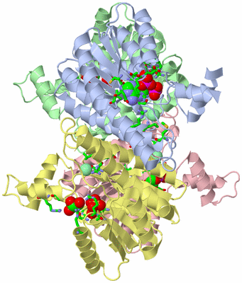 Image Asym./Biol. Unit - sites