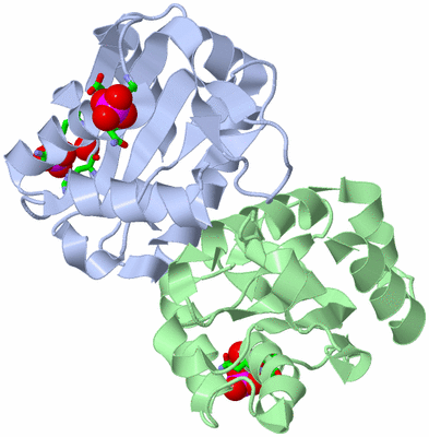 Image Asym./Biol. Unit - sites