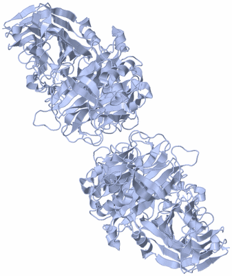 Image Biological Unit 2