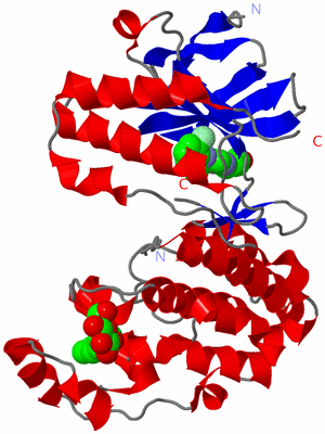 Image Asym./Biol. Unit