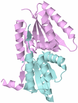 Image Biological Unit 3