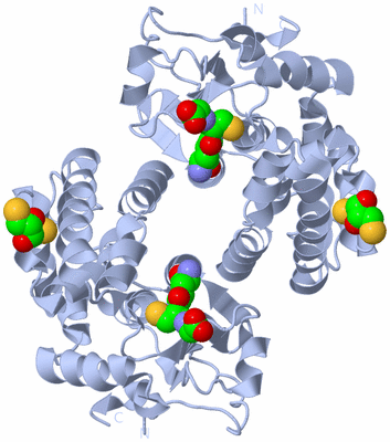 Image Biological Unit 1