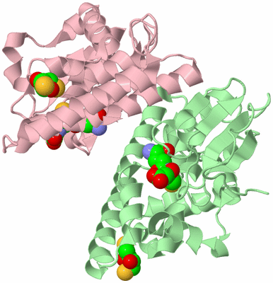 Image Biological Unit 2