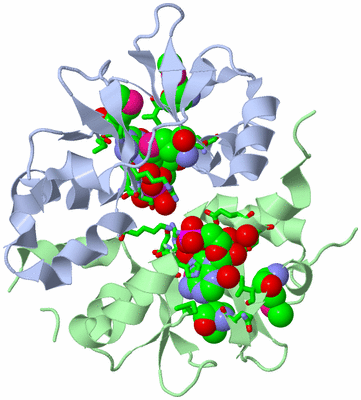 Image Asym./Biol. Unit - sites