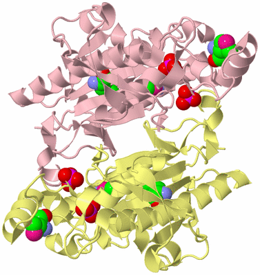 Image Biological Unit 2