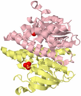 Image Biological Unit 2