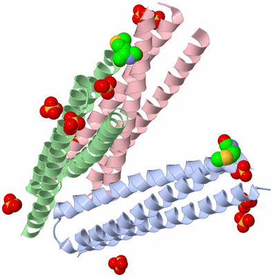 Image Asym./Biol. Unit