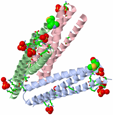 Image Asym./Biol. Unit - sites