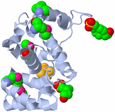 Image Biological Unit 1