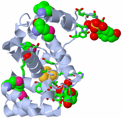 Image Biol. Unit 1 - sites