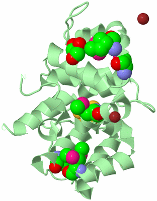 Image Biological Unit 2