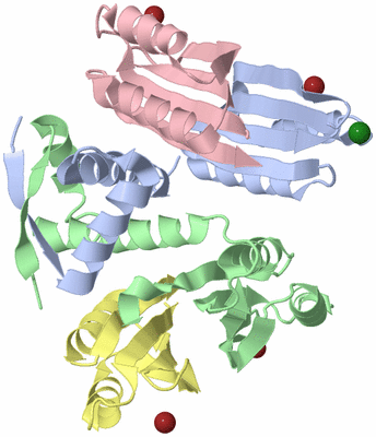 Image Asym./Biol. Unit