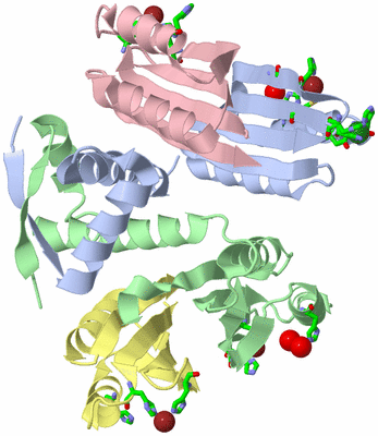 Image Asym./Biol. Unit - sites