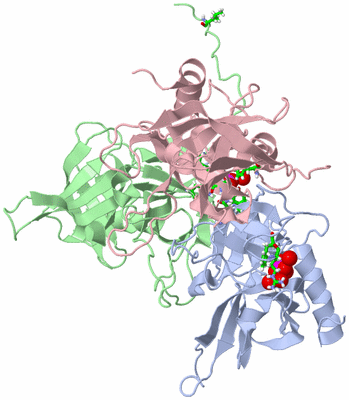 Image Asym./Biol. Unit - sites