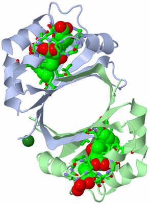 Image Asym./Biol. Unit - sites