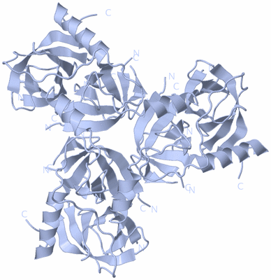 Image Biological Unit 1
