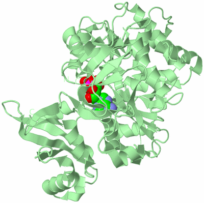 Image Biological Unit 2