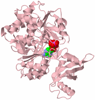 Image Biological Unit 3