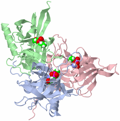 Image Biological Unit 1