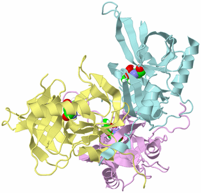 Image Biological Unit 2