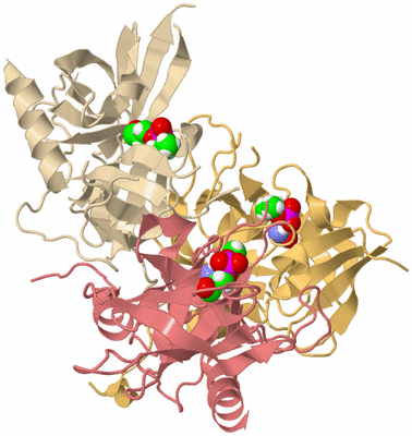 Image Biological Unit 3