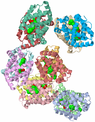 Image Asymmetric Unit