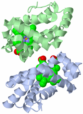 Image Biological Unit 1