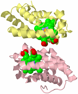 Image Biological Unit 2