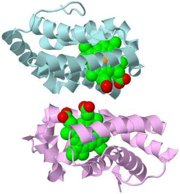 Image Biological Unit 3