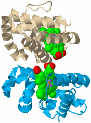 Image Biological Unit 5